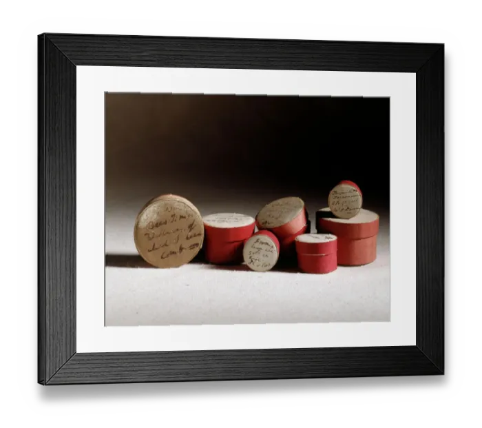Framed Print : Pill boxes used by Darwin for collecting specimens J970120