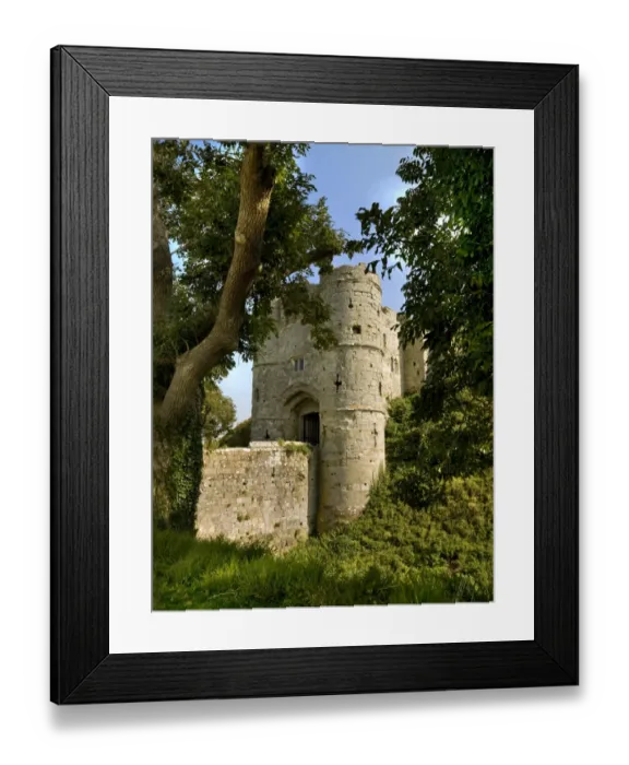 Framed Print : Carisbrooke Castle Gatehouse N080264