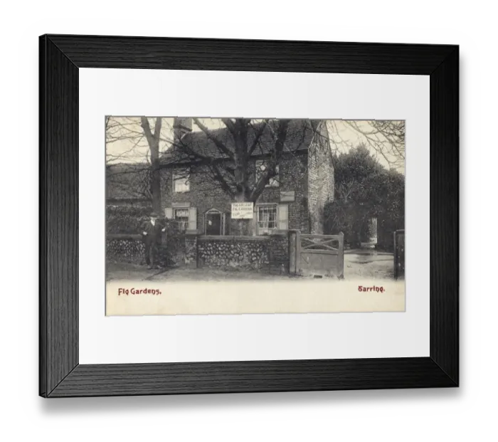 Framed Print : The ancient fig orchard of Tarring PC07359