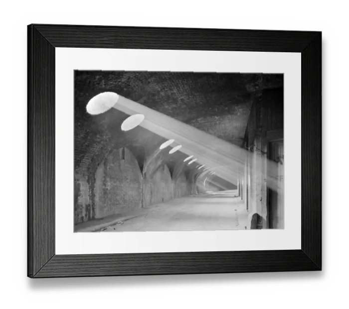 Framed Print : Vaults a65_00065