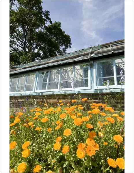 Darwins greenhouse at Down House N080404