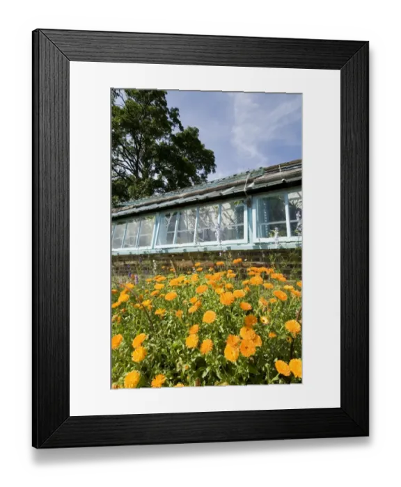 Framed Print : Darwins greenhouse at Down House N080404