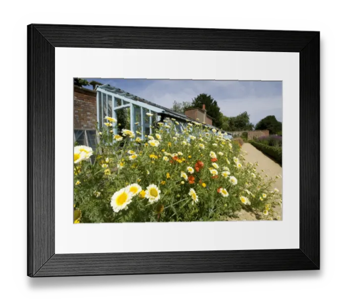 Framed Print : Kitchen Garden at Down House N080405
