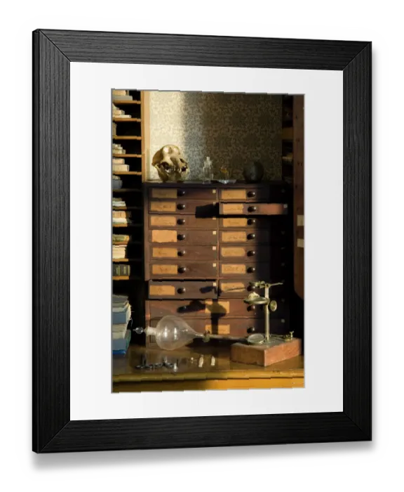 Framed Print : The Old Study, Down House N080408