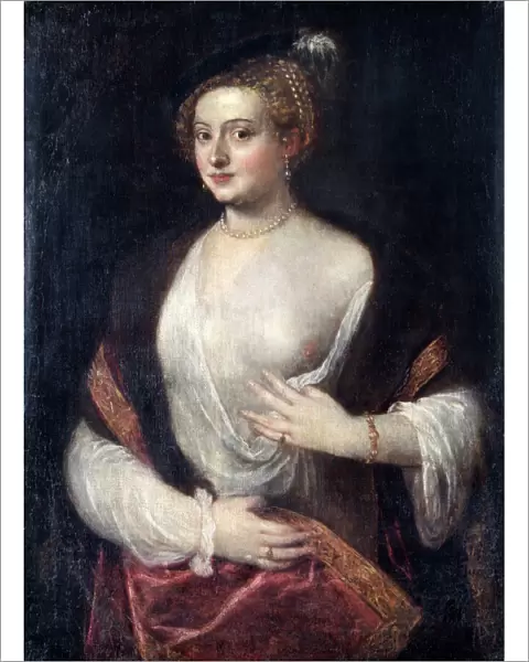 An Unknown Lady called Titians Mistress N070681