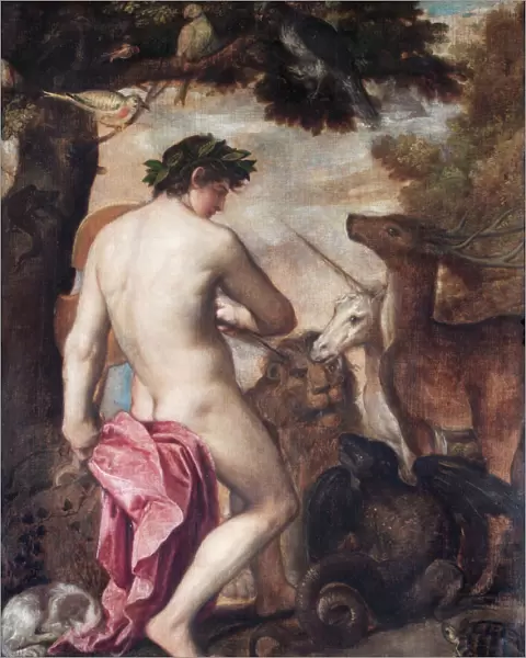 Orpheus enchanting the animals N070546