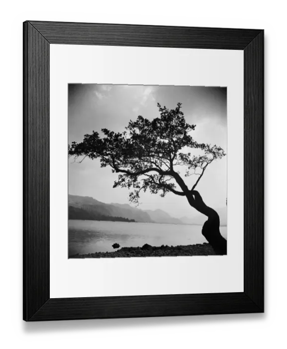 Framed Print : Lakeside scene, Cumbria a080500 Framed Print : Lakeside scene, Cumbria a080500