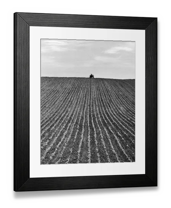 Framed Print : Ploughing OP04506