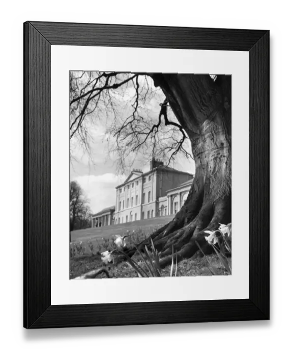Framed Print : Kenwood House OP04508