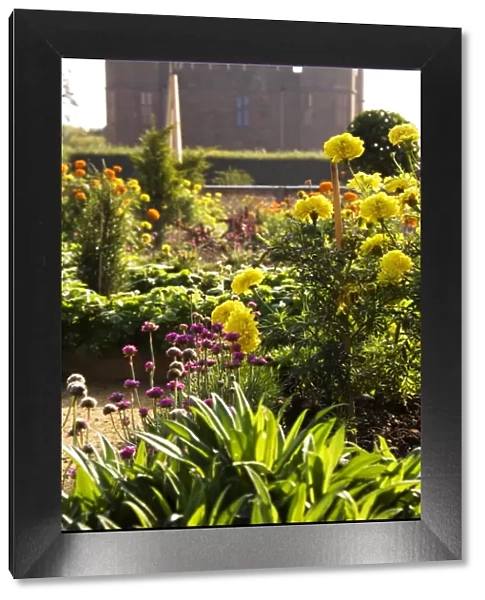 Kenilworth Castle, Elizabethan Garden N080504