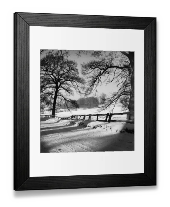 Framed Print : Winter scene a090122