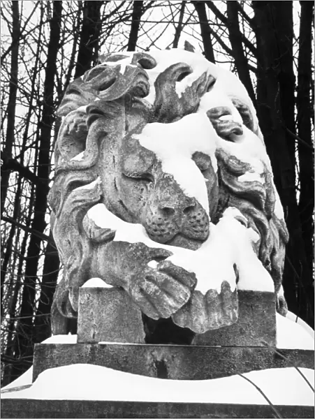 Lion statue, Highgate Cemetery OP04501