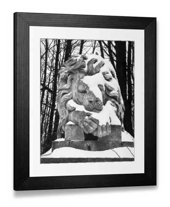 Framed Print : Lion statue, Highgate Cemetery OP04501