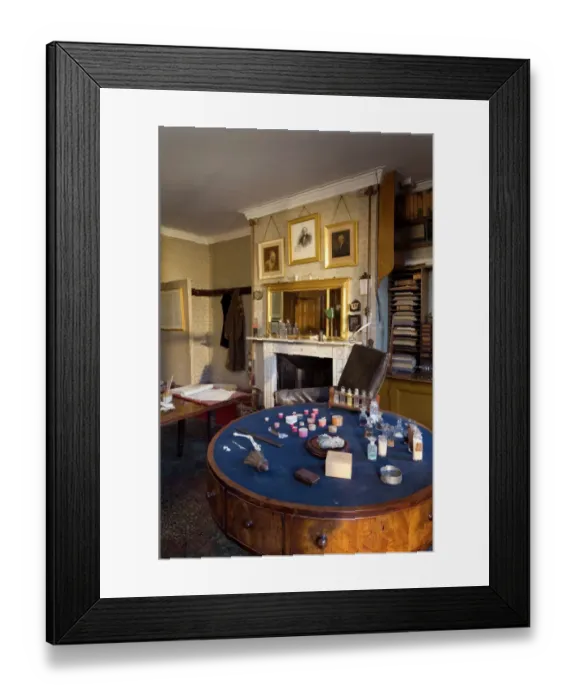 Framed Print : Darwins study N080519