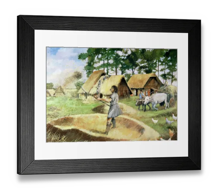 Framed Print : Iron Age farming J950067
