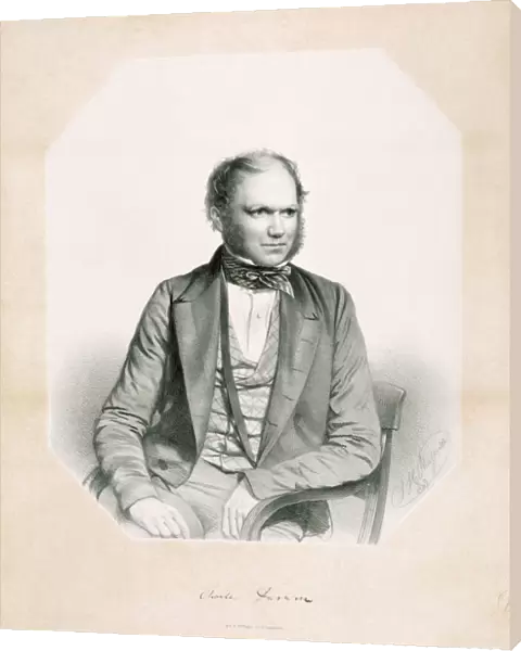 Lithograph of Charles Darwin K970239