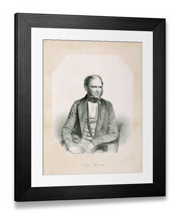 Framed Print : Lithograph of Charles Darwin K970239 Framed Print : Lithograph of Charles Darwin K970239