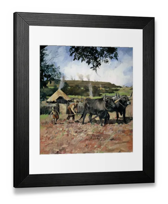 Framed Print : Iron Age farming N080555