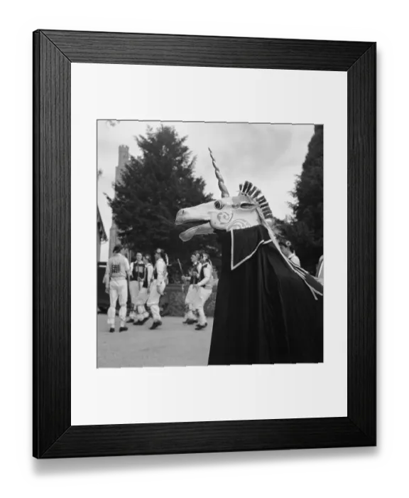 Framed Print : Unicorn a089655