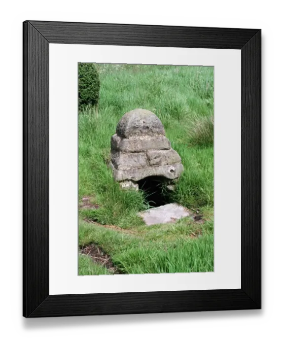 Framed Print : Harelaw Watering Place IOE01_00649_23