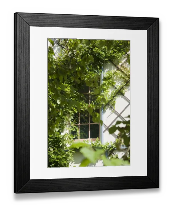 Framed Print : Down House N080583