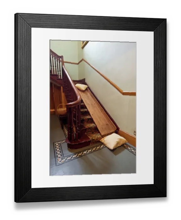 Framed Print : Stair slide made by Darwin for his children N080595