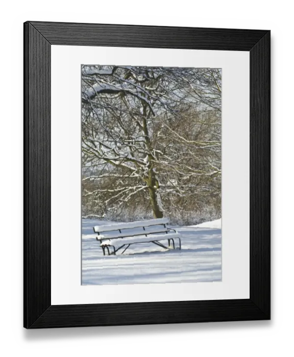 Framed Print : Snow covered bench N090025