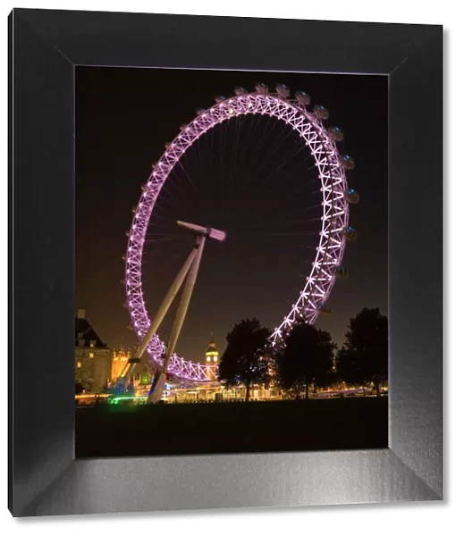 The London Eye N061029