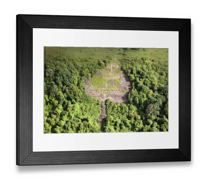 Framed Print : Royal Warwickshire badge 29091_035