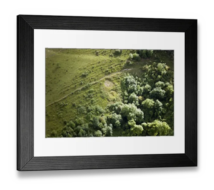 Framed Print : Shiny Seventh badge 29091_008 Framed Print : Shiny Seventh badge 29091_008