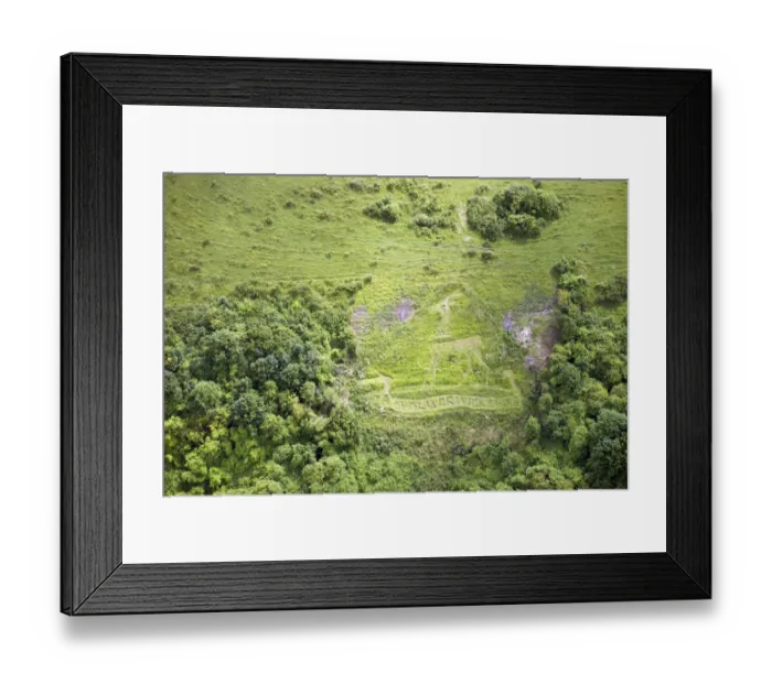 Framed Print : Sutton Badges 33233_020