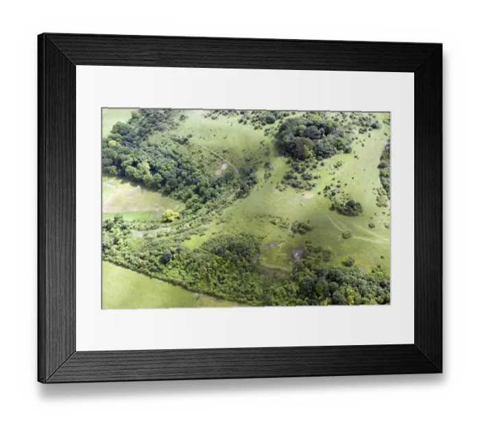 Framed Print : Sutton Badges 33233_021