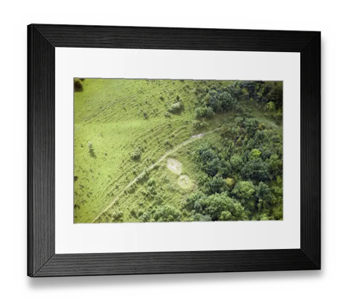 Framed Print : Sutton Badges 33233_025 Framed Print : Sutton Badges 33233_025