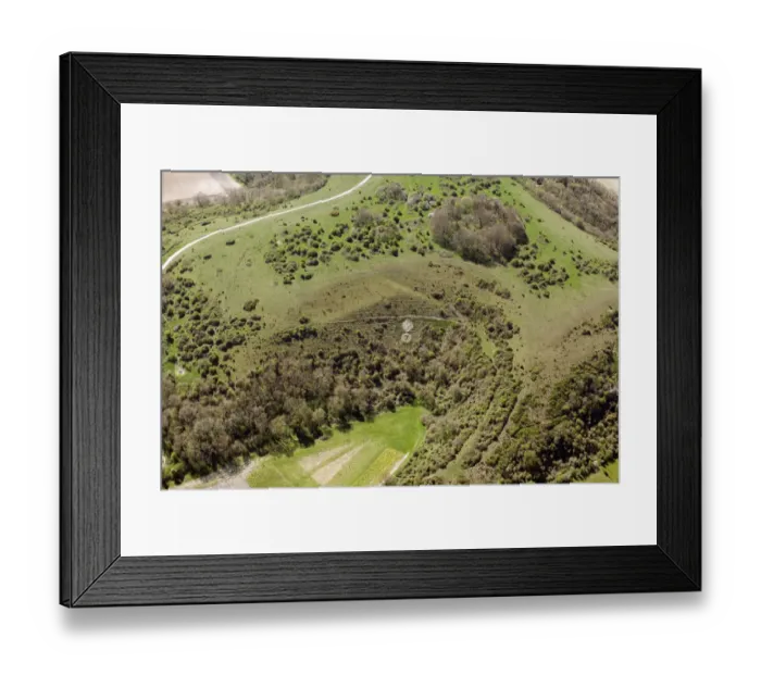 Framed Print : Sutton badges 29526_003 Framed Print : Sutton badges 29526_003