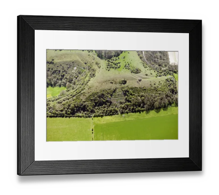Framed Print : Sutton badges 29526_005