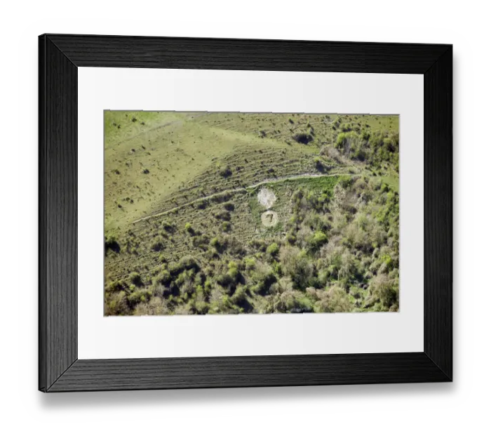 Framed Print : Sutton badges 29526_010