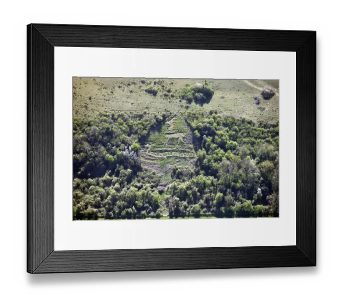Framed Print : Sutton badges 29526_011
