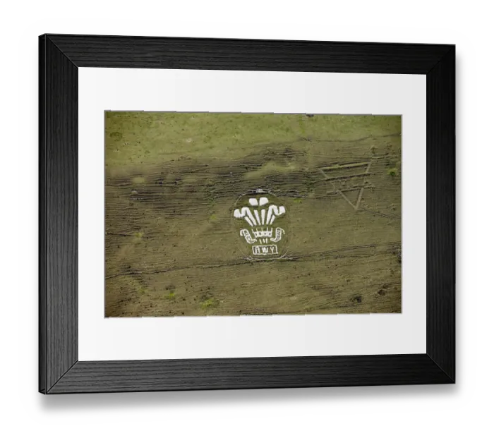 Framed Print : Fovant badges 29526_030