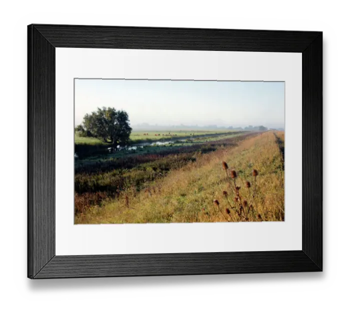 Framed Print : Byall Fen DP219045