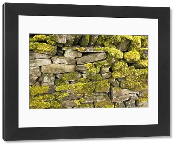 Dry stone wall DP005708