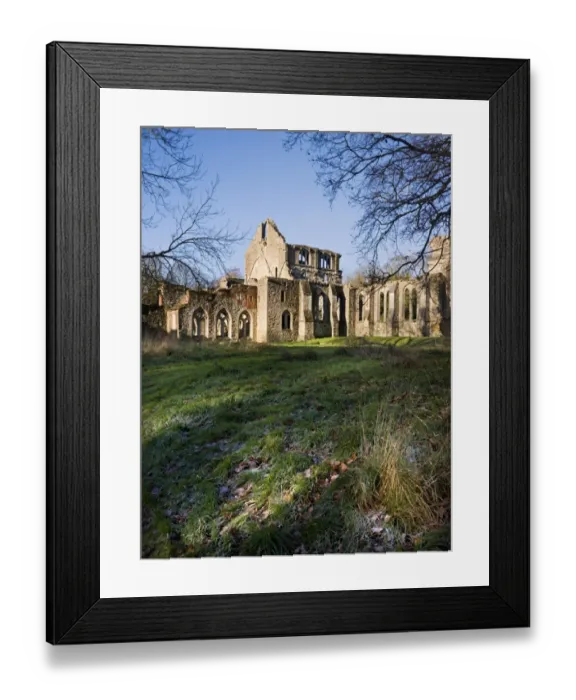 Framed Print : Netley Abbey N080678