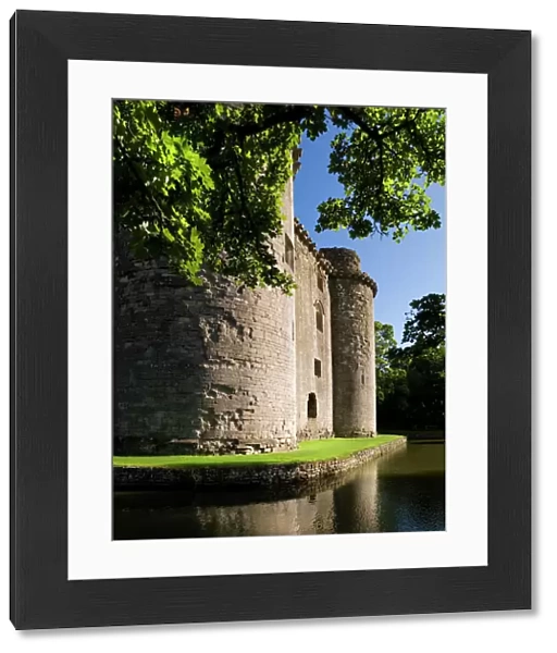 Nunney Castle N080695
