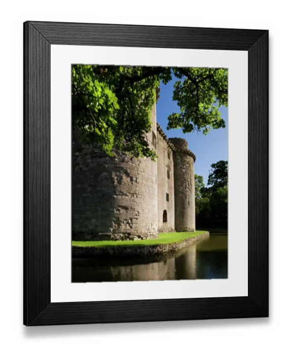 Framed Print : Nunney Castle N080695 Framed Print : Nunney Castle N080695