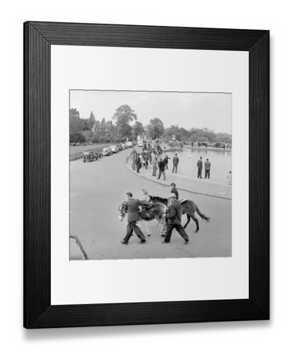 Framed Print : Donkey ride a071928