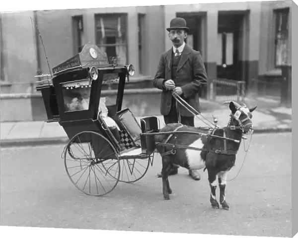 A goat-drawn carriage SAM01  /  02  /  0239