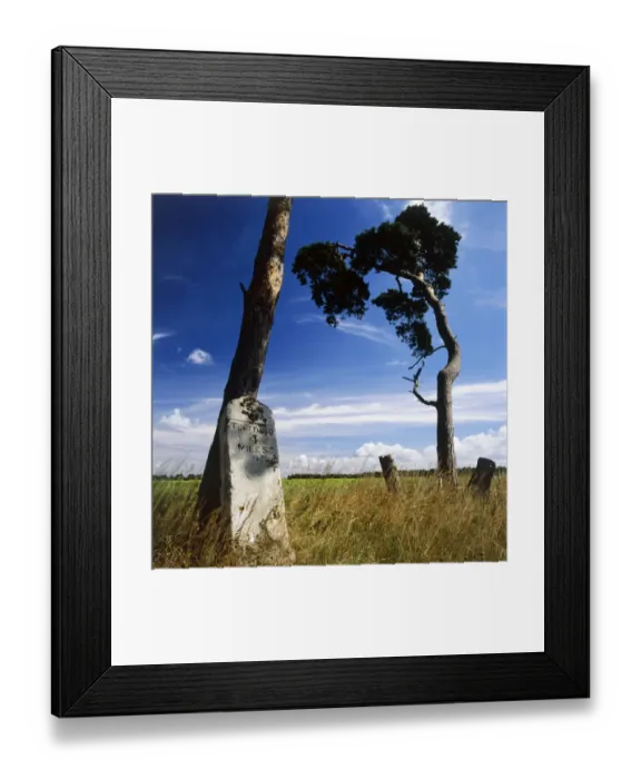 Framed Print : Milestone K022126