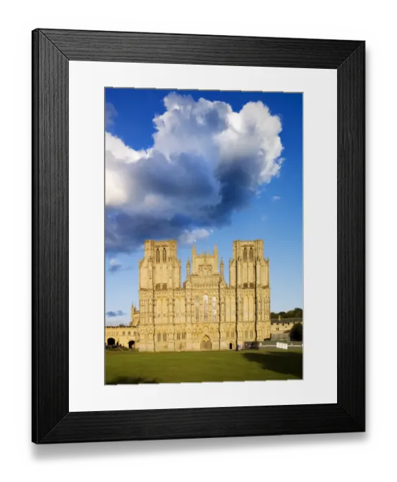Framed Print : Wells Cathedral N071852