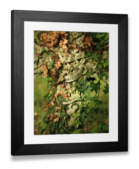 Framed Print : Gravestone DP032058
