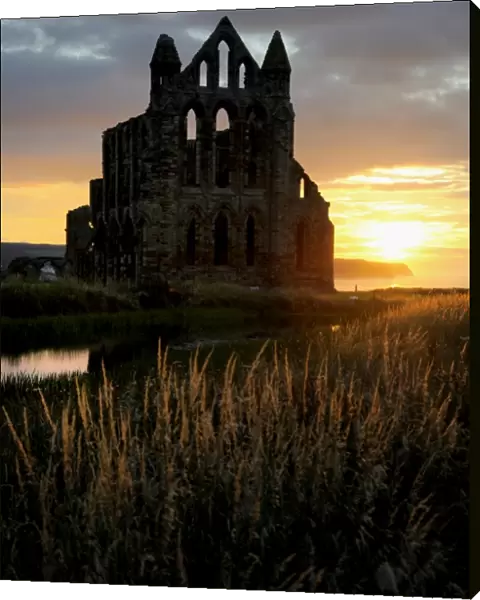 Whitby Abbey at sunset N080799