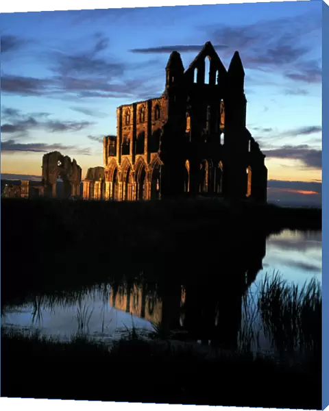 Whitby Abbey at sunset N080808